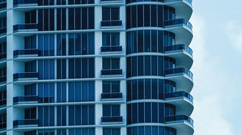 movers moving company santa clara california 2