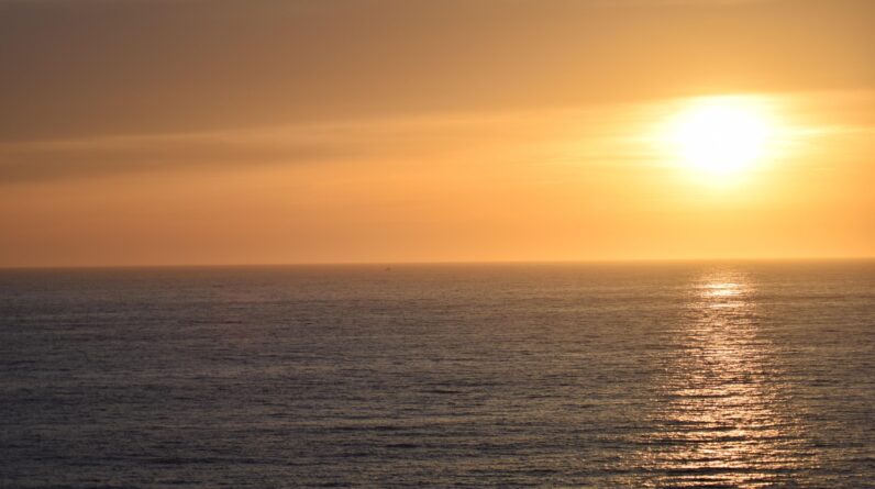 movers moving company torrance california 2