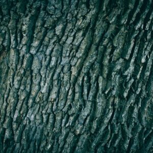 Photo Detailed checklist