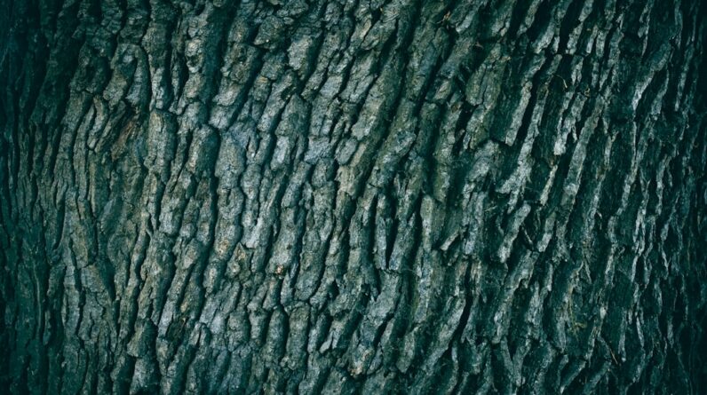 Photo Detailed checklist