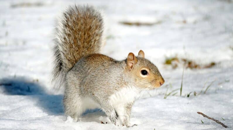 Photo Careful handling