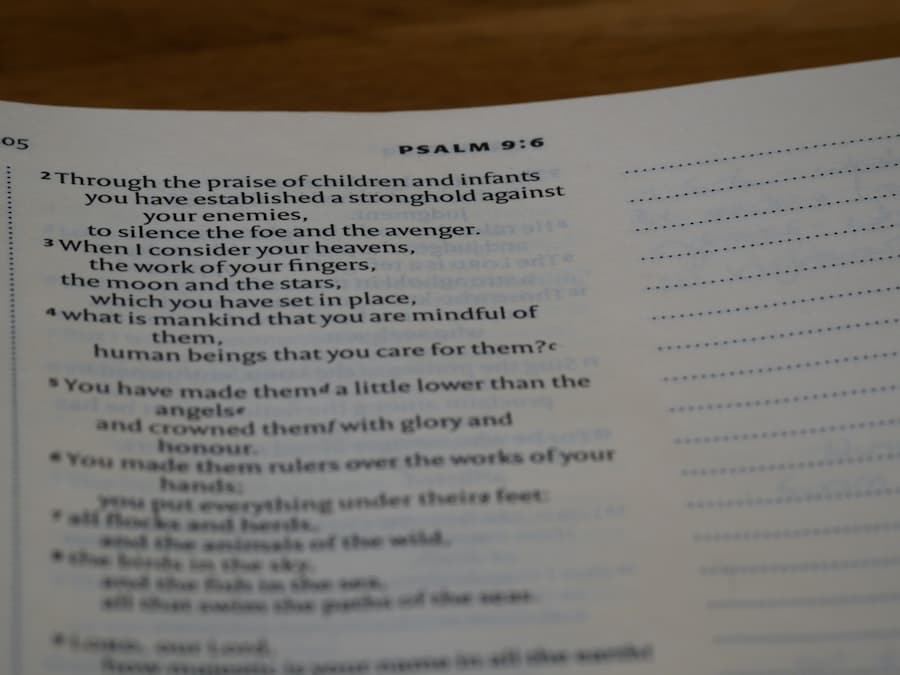 image 59