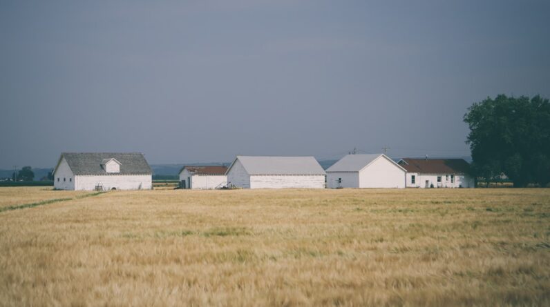 Photo Movers Strongsville Ohio