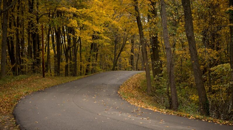 Photo Movers Beavercreek Ohio