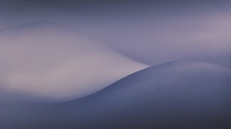 Photo Movers Keizer Oregon