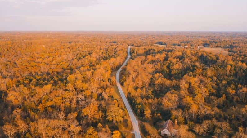 Photo Movers Council Bluffs Iowa