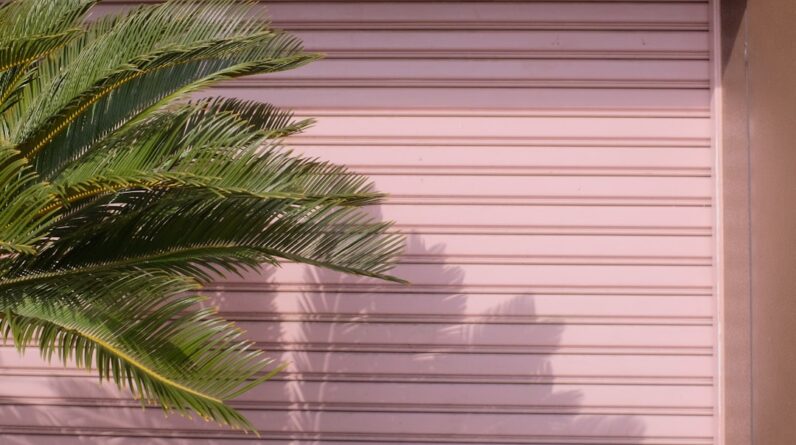 Photo Movers Ocoee Florida