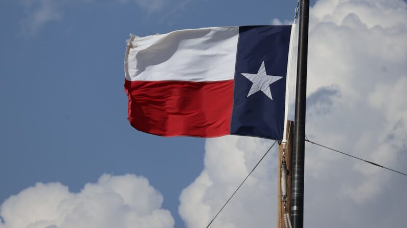 Photo Movers Frisco Texas