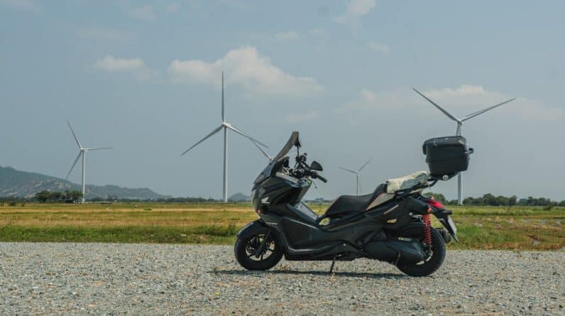 Photo Moving Service