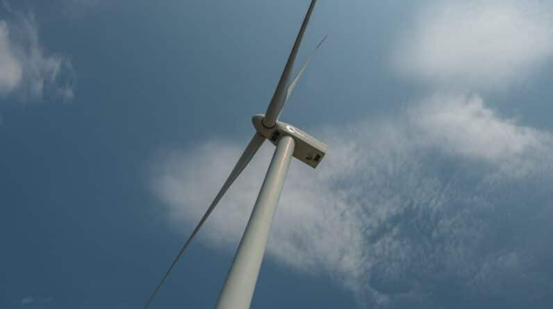 Photo Moving Service