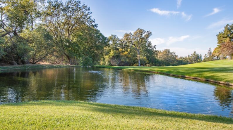 Photo Long Distance Movers