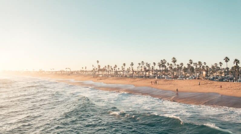 Photo Relocation Service