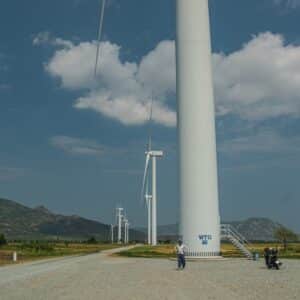 Photo Moving Service