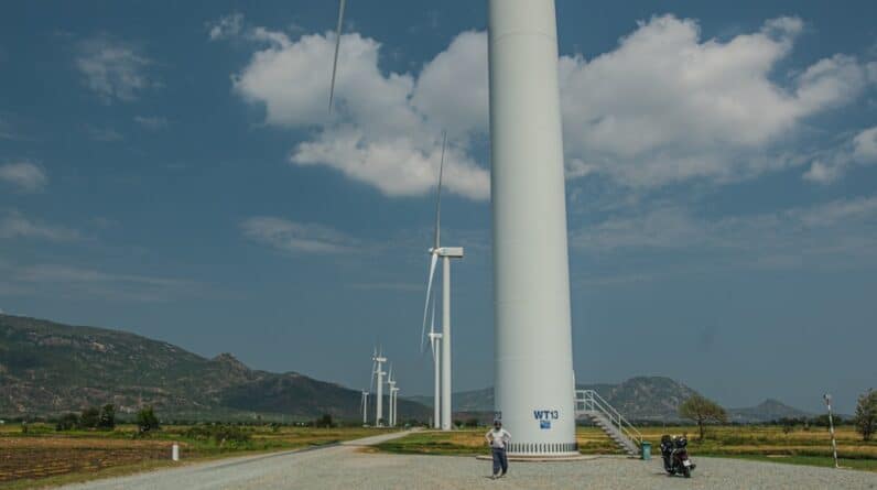 Photo Moving Service