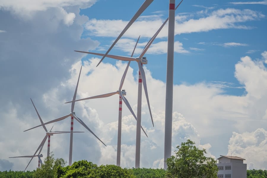 Photo Moving Service