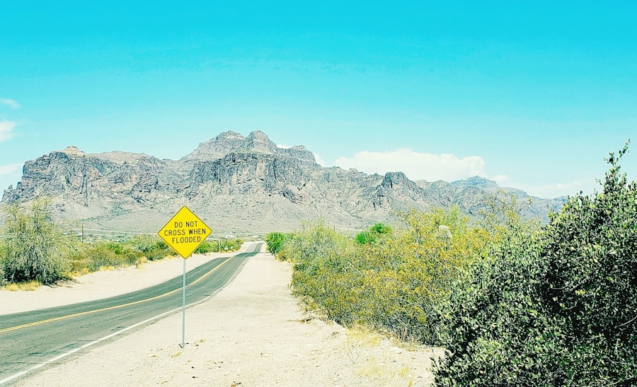 Photo Movers Chandler Arizona