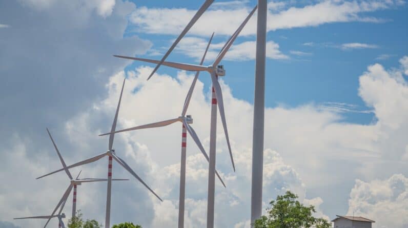 Photo Moving Service